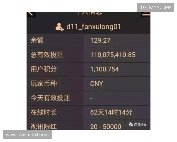 掌握AG百家乐技巧提升胜率的实用技巧与操作建议