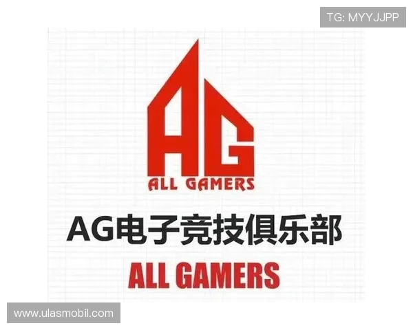 如何选择优质的AG电子娱乐游戏平台确保游戏体验流畅无卡顿