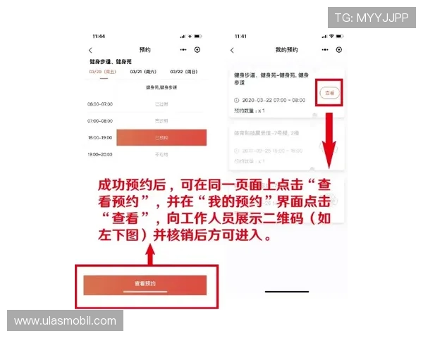 AG国际真人平台最新优惠活动及注册流程详细指南