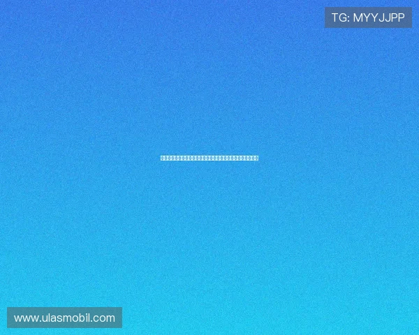 世界杯佛得角主教练与沙特主教练执教理念及战术策略深度解析